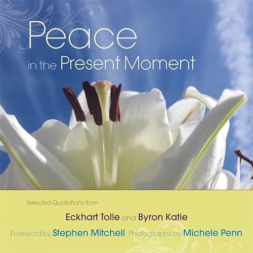 Stock image for Peace in the Present Moment for sale by Hippo Books