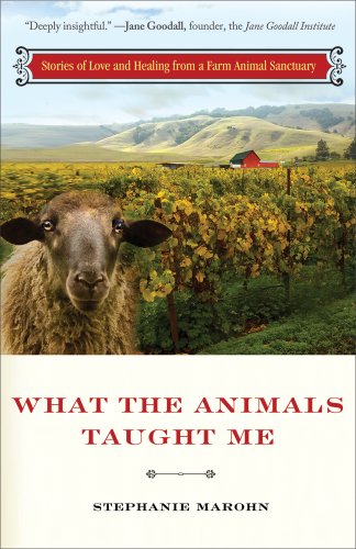 Imagen de archivo de What the Animals Taught Me: Stories of Love and Healing from a Farm Animal Sanctuary a la venta por Lot O'Books