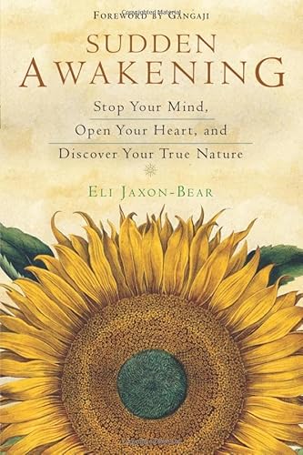 9781571747273: Sudden Awakening: Stop Your Mind, Open Your Heart, and Discover Your True Nature