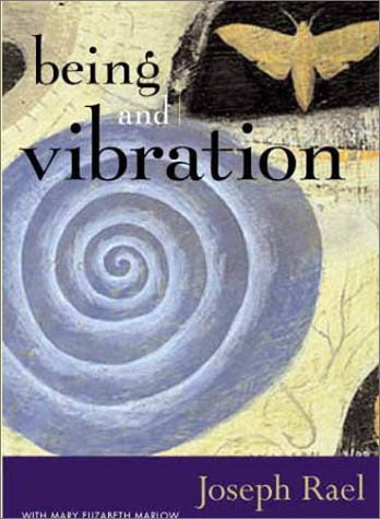 Beispielbild fr Being and Vibration zum Verkauf von Better World Books