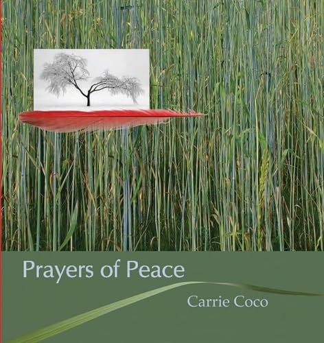 Imagen de archivo de Prayers of Peace a la venta por Better World Books