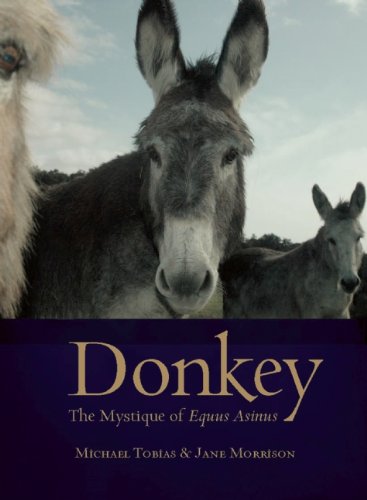 Beispielbild fr Donkey : The Mystique of Equus Asinus zum Verkauf von Better World Books