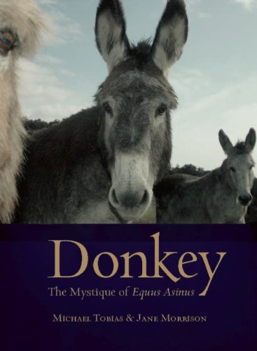 Imagen de archivo de Donkey : The Mystique of Equus Asinus a la venta por Better World Books