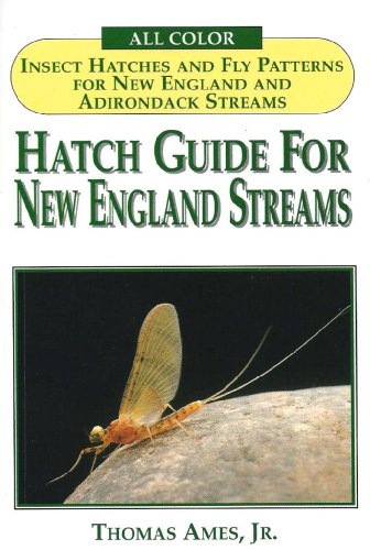 Stock image for Hatch Guide for New England Streams for sale by SecondSale