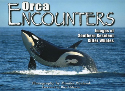 Stock image for Orca Encounters for sale by Ergodebooks