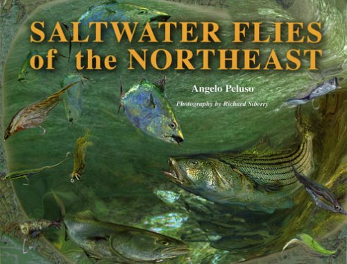 Beispielbild fr Saltwater Flies of the Northeast zum Verkauf von BooksRun