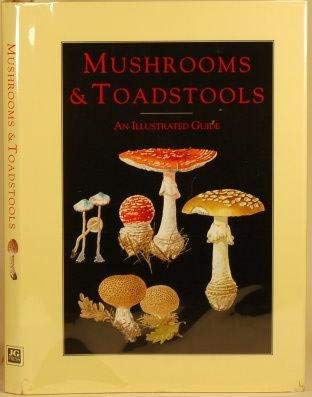 9781572151338: Mushroom & Toadstools