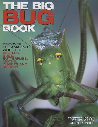 Imagen de archivo de The Big Bug Book: Discover the Amazing World of Beetles, Bugs, Butterflies, Moths, Insects and Spiders a la venta por The Book Spot