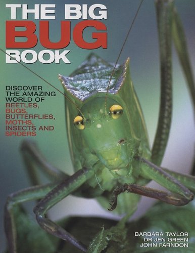 Stock image for The Big Bug Book: Discover the Amazing World of Beetles, Bugs, Butterflies, Moths, Insects and Spiders for sale by The Book Spot