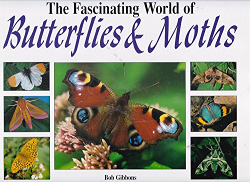 Beispielbild fr Fascinating World of Butterflies & Moths zum Verkauf von Wonder Book