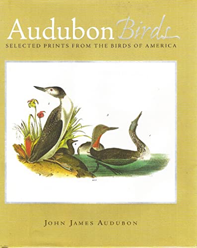 Beispielbild fr Audubon Birds: Selected Prints From the Birds of America zum Verkauf von Ergodebooks