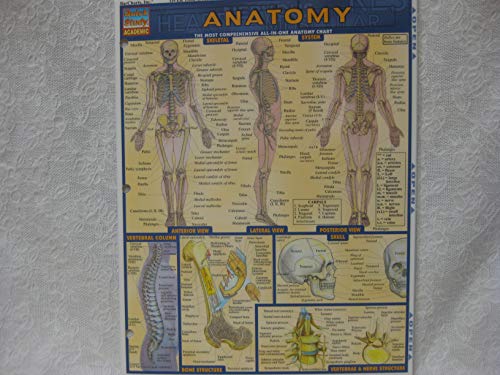 Anatomy (Quickstudy Reference Guides - Academic) (9781572224919) by BarCharts, Inc.