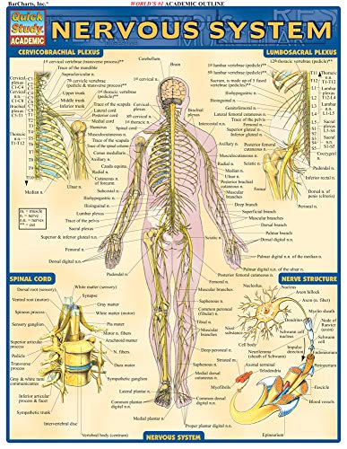 Beispielbild fr Nervous System zum Verkauf von Better World Books