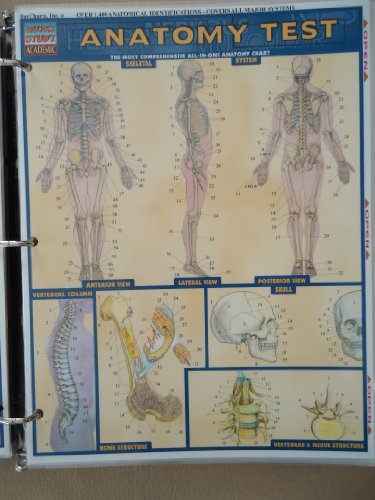 Stock image for Anatomy Test (Quick Study Guides-Academic) for sale by BooksRun