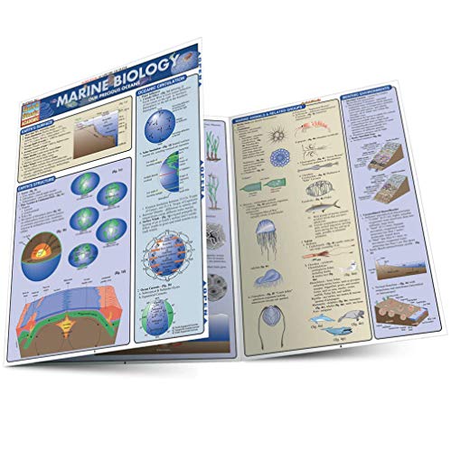 Beispielbild fr Marine Biology zum Verkauf von Better World Books