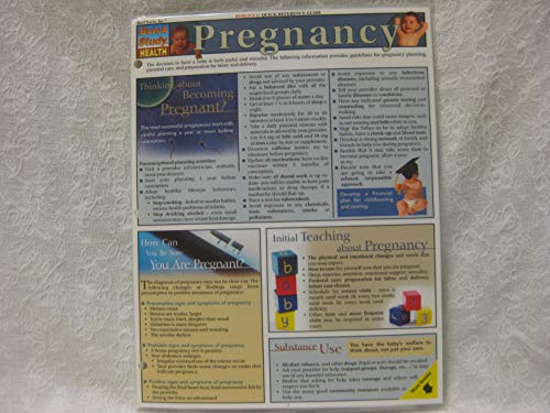 Imagen de archivo de Pregnancy (Quickstudy: Health) a la venta por Ergodebooks