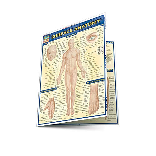 Beispielbild fr Surface Anatomy zum Verkauf von Better World Books