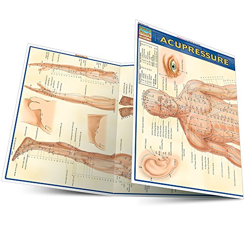 9781572228399: Acupressure (Quick Study Academic Outline)