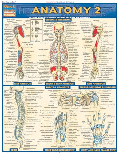 Beispielbild fr Anatomy 2 - Reference Guide (8. 5 X 11) : A QuickStudy Laminated Reference Guide zum Verkauf von Better World Books