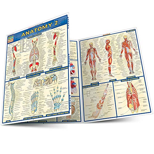 9781572228566: Anatomy 2 - Reference Guide: a QuickStudy Reference Tool (Quick Study Academic)