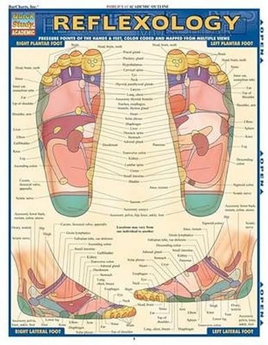 Reflexology (Quick Study Academic Outline) (9781572229372) by BarCharts, Inc.