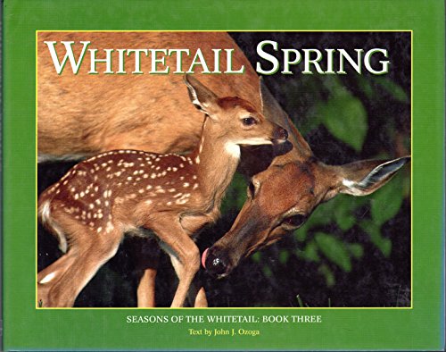 Stock image for Whitetail Spring: Seasons of the Whitetail (Seasons of the Whitetail/John J. Ozoga, Bk 3) for sale by Front Cover Books