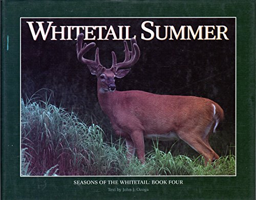 Stock image for Whitetail Summer (Seasons of the Whitetail) for sale by Gulf Coast Books