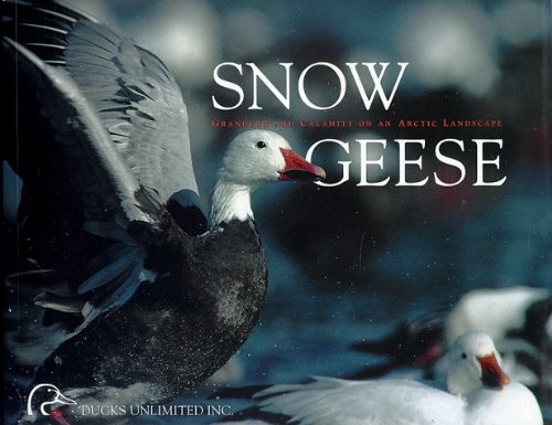 Beispielbild fr Snow Geese zum Verkauf von Wonder Book
