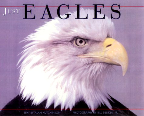 9781572232778: Just Eagles
