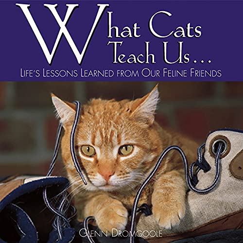 Beispielbild fr What Cats Teach Us.: Life's Lessons Learned from Our Feline Friends zum Verkauf von SecondSale