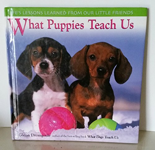 Stock image for What Puppies Teach Us : Life's Lessons Learned from Our Little Friends for sale by Better World Books: West