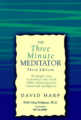 9781572240544: The Three-Minute Meditator: 30 Simple Ways to Unwind While Enhancing Your Emotional Intelligence