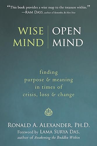 Imagen de archivo de Wise Mind, Open Mind: Finding Purpose & Meaning in Times of Crisis, Loss & Change a la venta por Ergodebooks