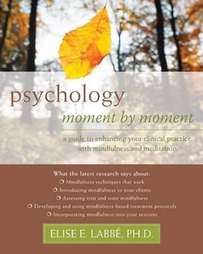 9781572248953: Psychology Moment by Moment: A Guide to Enhancing Your Clinical Practice with Mindfulness and Meditation