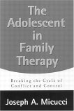 9781572303898: The Adolescent in Family Therapy: Harnessing the Power of Relationships (The Guilford Family Therapy)
