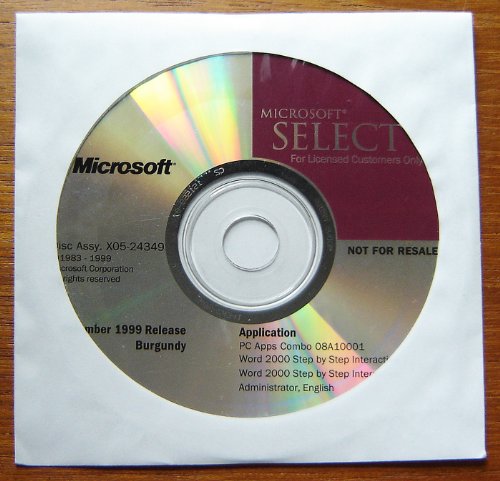 Beispielbild fr Microsoft Word 2000 zum Verkauf von Better World Books