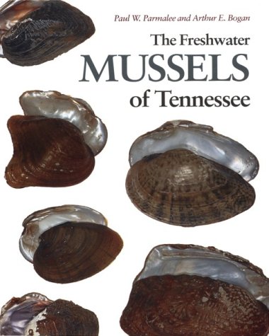 Freshwater Mussels Tennessee