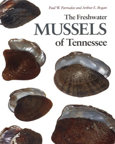 

Freshwater Mussels Tennessee