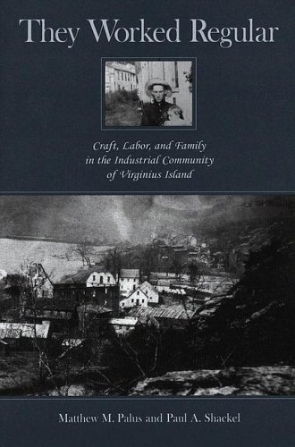 9781572334441: They Worked Regular: Craft, Labor, And Family in the Industrial Community of Virginius Island