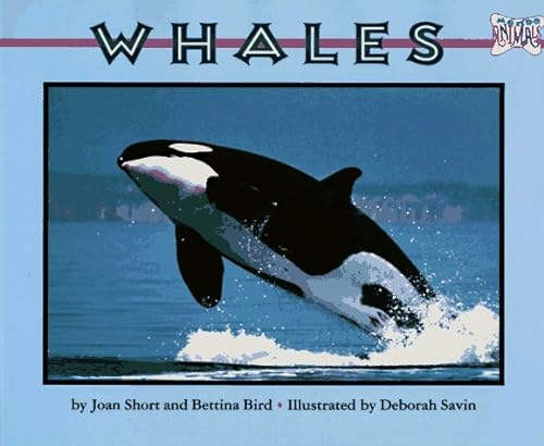 Stock image for Whales (Mondo Animals) for sale by Gulf Coast Books