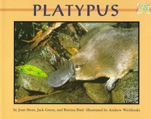 Stock image for Platypus (Mondo Animals) for sale by SecondSale