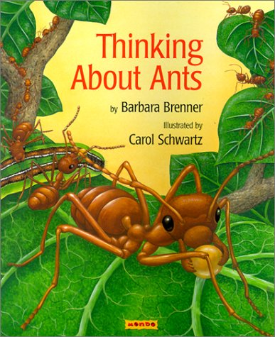 9781572552098: Thinking About Ants