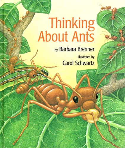 Thinking About Ants (9781572552104) by Brenner, Barbara