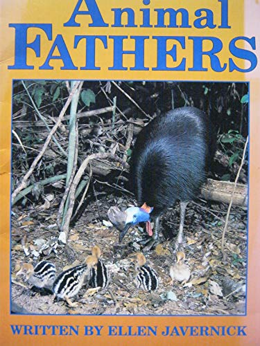Stock image for Animal Fathers [Literacy 2000 Satellites Stage 6 Set A] for sale by Hawking Books