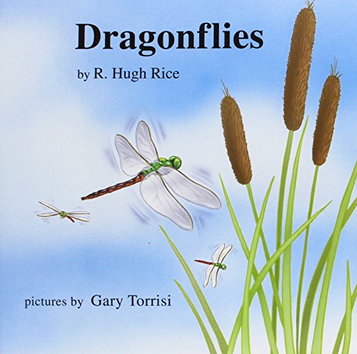 Stock image for Dragonflies for sale by ThriftBooks-Dallas