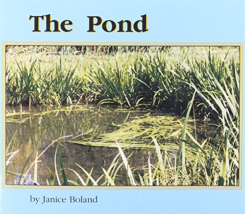 Beispielbild fr The Pond zum Verkauf von Better World Books: West