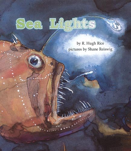 Stock image for Sea Lights (Books for Young Learners) for sale by Once Upon A Time Books