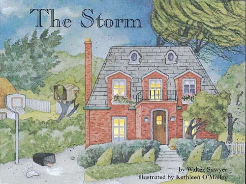 Imagen de archivo de The Storm (Books for Young Learners) a la venta por Your Online Bookstore