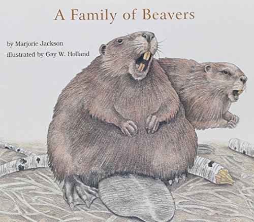 Beispielbild fr A Family of Beavers (Books for Young Learners) zum Verkauf von ThriftBooks-Atlanta