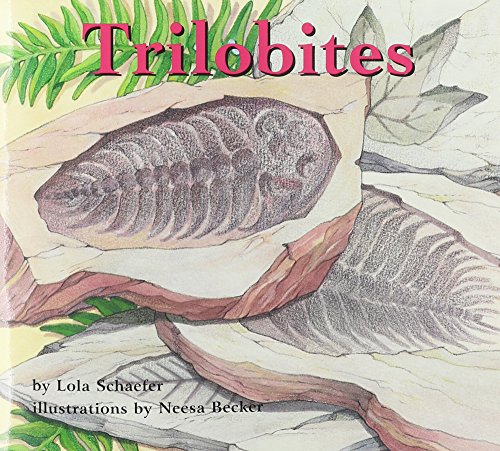 Beispielbild fr Trilobites zum Verkauf von Better World Books